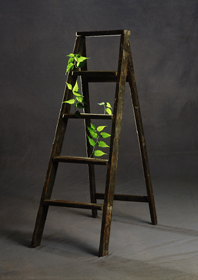 Zufall und Zusammenhang