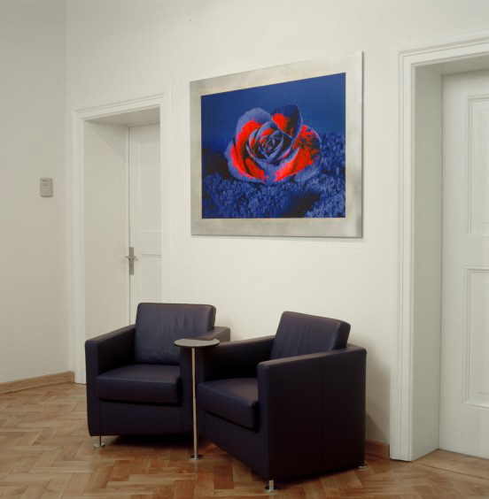 Manna - Blaue Rose bei der bbw e.V.